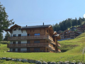 Apartment for 6 in Veysonnaz